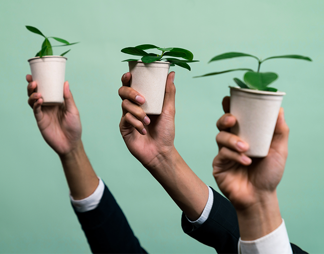 Grow Business Online